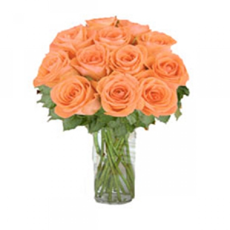 Nights to Love - 12 Stems Vase